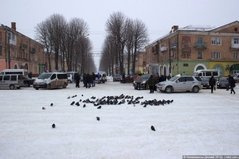 На Волині стало більше прихильників автомайдану