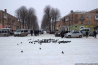 На Волині стало більше прихильників автомайдану