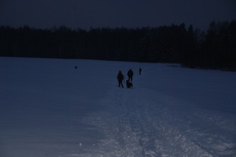 Луцькі прикордонники виявили трьох білорусів з обмороженнями