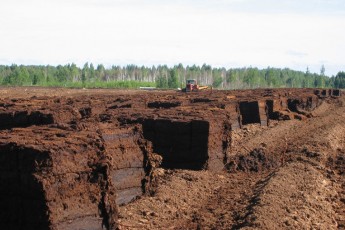 Волинянин вкрав 8 тонн торфу