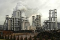 Волинська держекоінспекція за січень нарахувала збитків на суму 35 тисяч