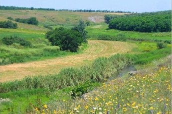 На Волині чиновник віддав орендарям 13 гектарів у ботанічному заказнику
