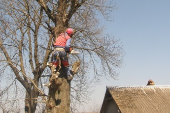 На вулицях Луцька «Волиньобленерго» розчищає лінії електромереж