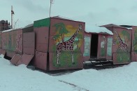 У Луцьку ніхто так і не поспішає рятувати тварин з незаконного зоопарку