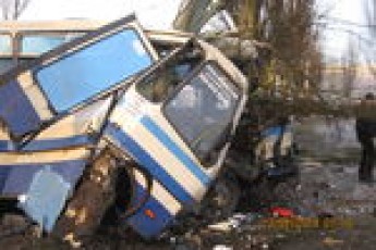 ﻿Рейсовий автобус через собаку врізався в дерево. Є постраждалі