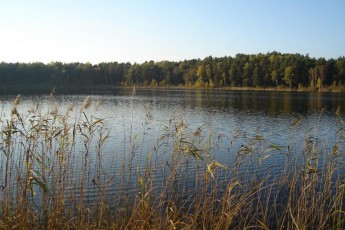 В місті на Волині прокуратура не дала в оренду озеро