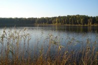В місті на Волині прокуратура не дала в оренду озеро