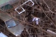 Кількість жертв збільшується: відео як група «Беркуту» вбиває протестувальника