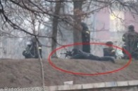Відео, де «Беркут» відстрілює як силовиків, так і протестувальників, - нардеп