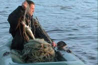 На Волині самозванці видають себе за інспекторів рибоохорони