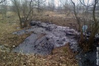 У міському парку із землі виступила рідина чорного кольору