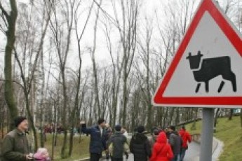 Молоко з президентської ферми возять на Майдан