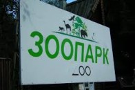 У проекту реконструкції луцького зоопарку - новий керівник