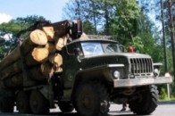 Волинянин накинувся з ножем на лісників, які хотіли відібрати вкрадену деревину