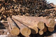 Двоє товаришів обкрадали державне підприємство на Волині