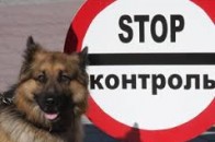 На Волині зупинили комп’ютерну контрабанду