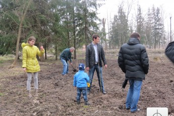 Як лучани в парку саджають молоді дерева. ФОТО