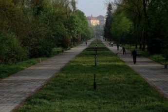 У Луцьку тривають роботи по облагородженню центрального парку