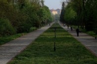 У Луцьку тривають роботи по облагородженню центрального парку