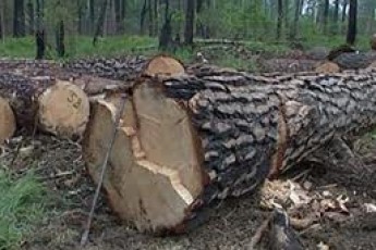 Волинські землі вартістю понад 190 мільйонів хочуть повернути Міноборони