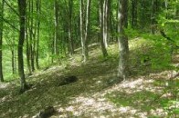 Безвісти зниклого волинянина - знайшли мертвим