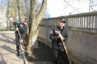 У місті на Волині даівці підтримали акцію «За чисте довкілля»