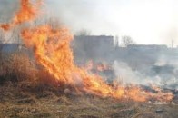 Волинян обіцяють карати за підпал сухої трави