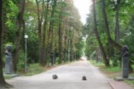 Лучан запрошують обговорити земельне питання в одному з парків
