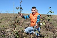 Волинянин розповів секрети прибуткового бізнесу