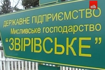 Розкоші волинського «Межигір’я» зводилися державним коштом, - ЗМІ