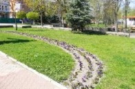 В місті на Волині триває місячник з благоустрою
