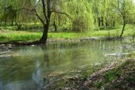 Де у Луцьку проведуть санітарне прибирання