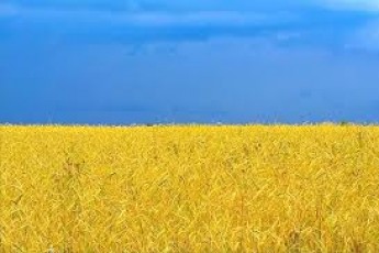 Волинянам роздавали анкети з антидержавними закликами