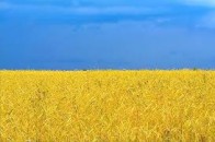 Волинянам роздавали анкети з антидержавними закликами