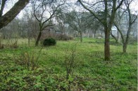 Керівництво луцького вишу не погоджується віддати ділянку церкві