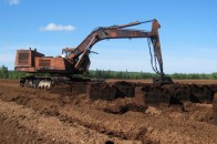 Волинські депутати хочуть відібрати торфовища у кіпріотів