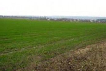 На Волині землекористувачі сплатили до місцевого бюджету понад 3 мільйони