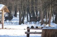 Волинську облраду чекає шквал судових позовів?