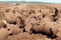 Стосовно службових осіб «Волиньторф» відкрито кримінальне провадження