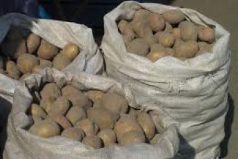 На Волині товариші покрали картоплю із власного льоха