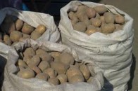 На Волині товариші покрали картоплю із власного льоха
