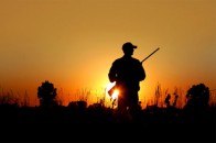 Волинське підприємство користується угіддями в заповідній зоні