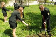 У Луцьку про загиблих чорнобильців буде нагадувати алея