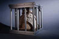 У Луцьку невідомі через інтернет вкрали мільйон із рахунку торговельної мережі