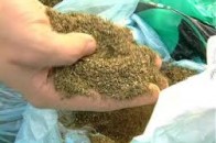 Волинянина на вулиці зловили з наркотиками