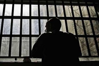 За вирубку дерев волинянину «світить» 3 роки