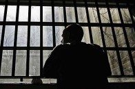 За вирубку дерев волинянину «світить» 3 роки