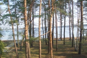 Як закарпатець відпочивав на Волині
