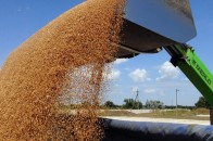 З волинського с/г підприємства стягнули півмільйона гривень