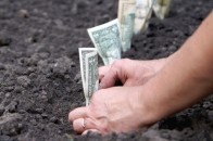 Волинська прокуратура врешті розгледіла дерибан 160 га землі
